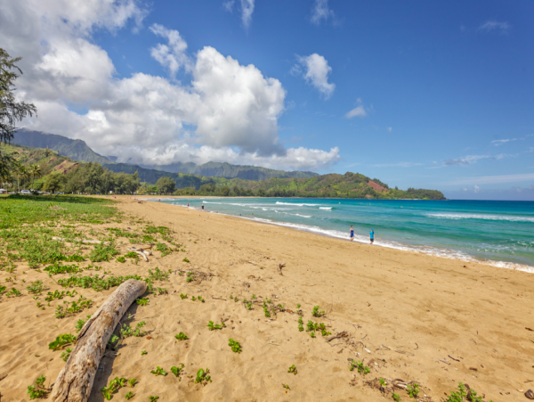 Hanalei Home 1001785