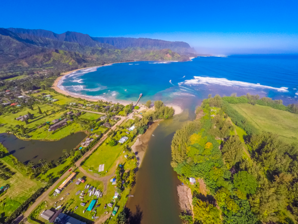 Hanalei Home 1001785