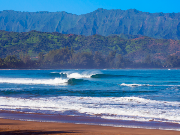 Hanalei Home 1001785