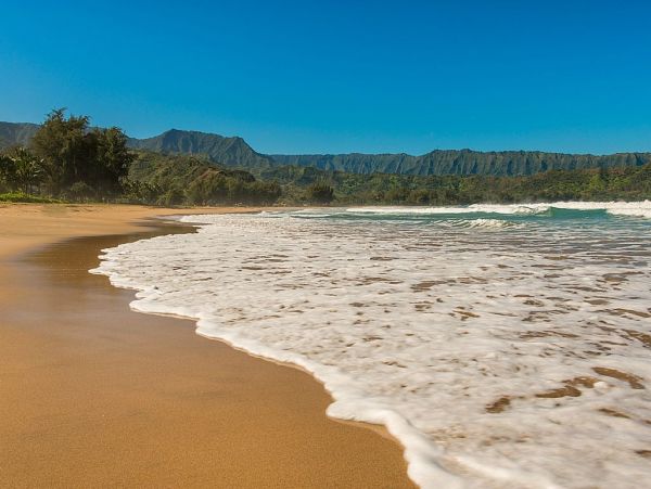 Hanalei Home 1001787
