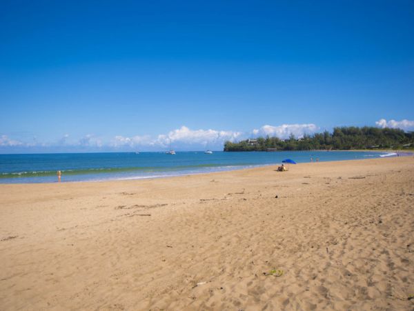 Hanalei Home 1001789