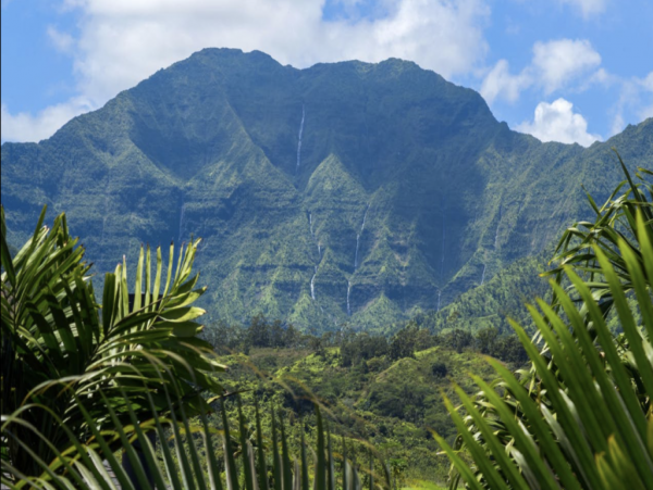 Hanalei Home 1001790