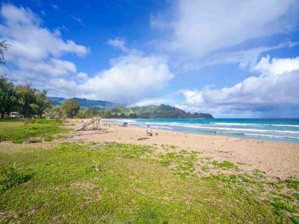Hanalei Home 1001792