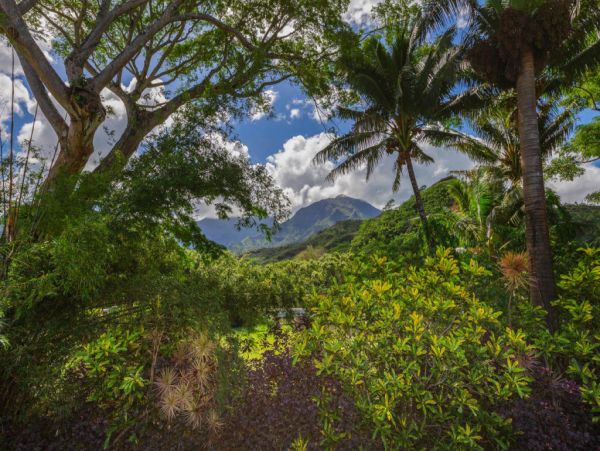 Hanalei Home 1001794