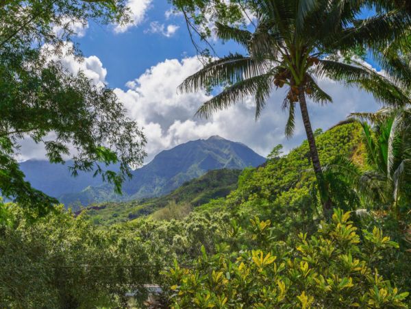 Hanalei Home 1001794