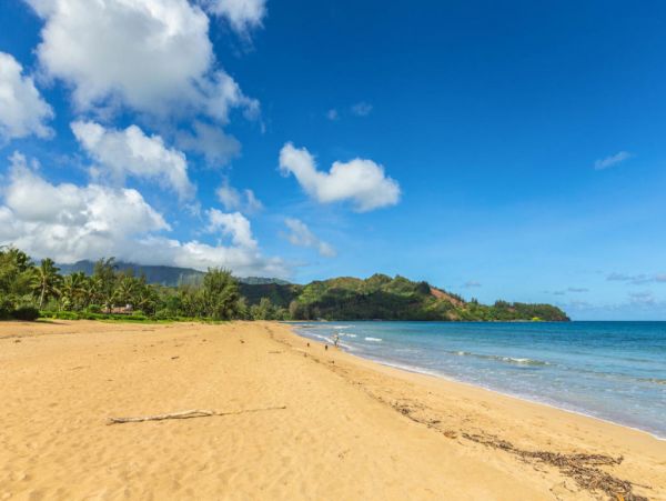 Hanalei Home 1001794