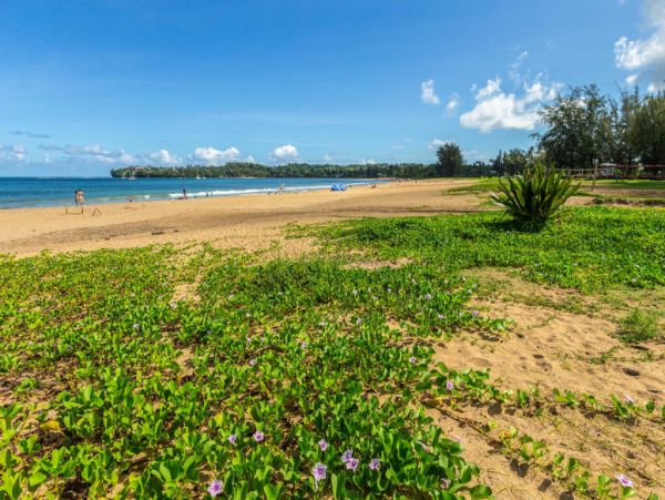 Hanalei Home 1001794