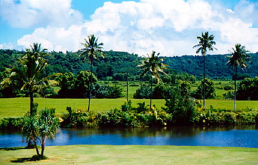 Hanalei Home 1001796
