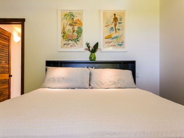 Hanalei Home 1001798
