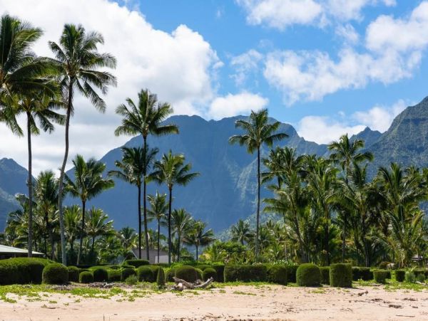 Hanalei Home 1001800