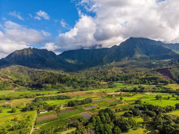 Hanalei Home 1001803