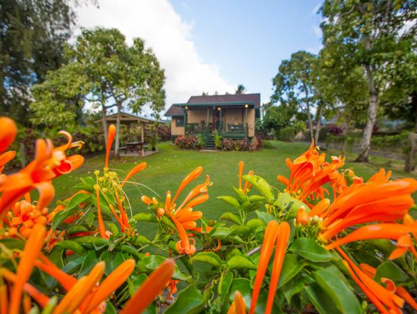 Charming Hanalei Bay 2-Bedroom Cottage with Mountain Views