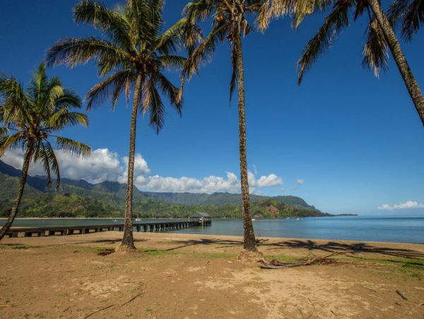 Hanalei Home 1001809