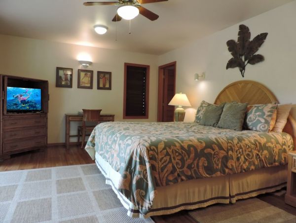 Hanalei Home 1001810