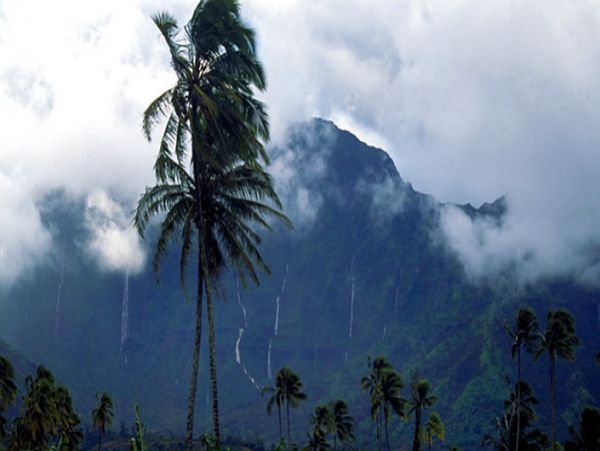 Hanalei Home 1001813