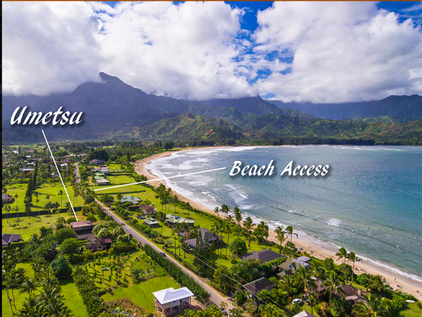 Hanalei Home 1001813