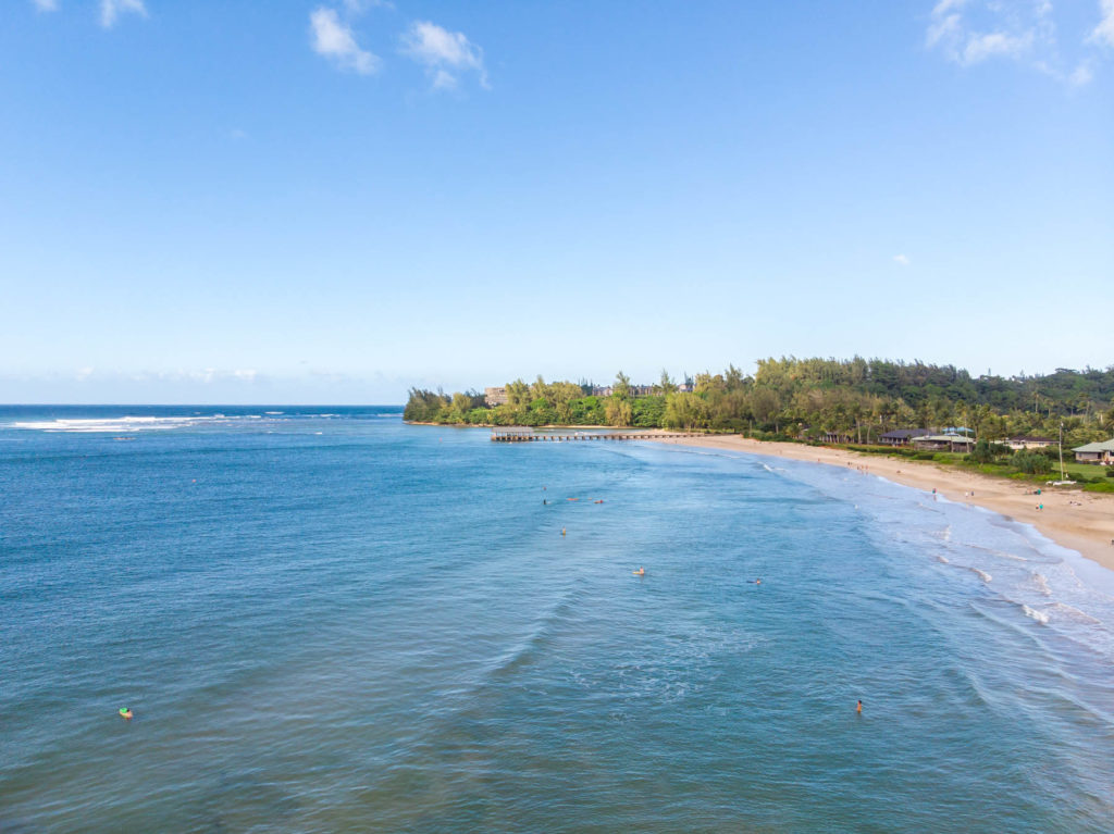 Hanalei Home 1001815