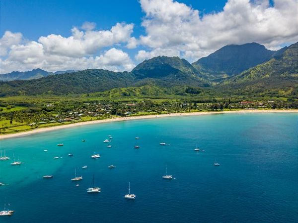 Hanalei Home 1001816