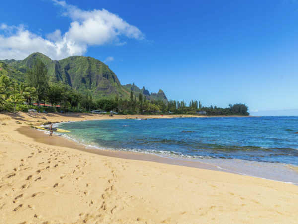 Hanalei Home 1001818