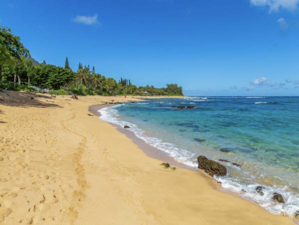 Hanalei Home 1001818