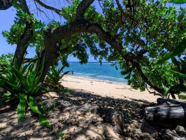 Hanalei Home 1001820