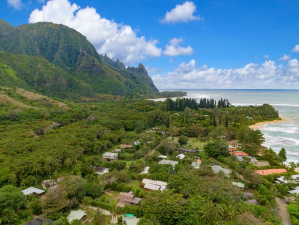 Hanalei Home 1001821
