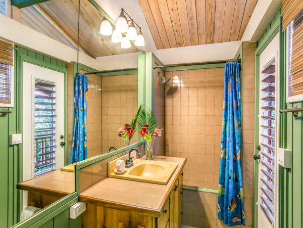Hanalei Home 1001821