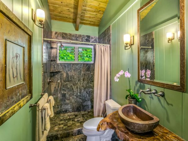 Hanalei Home 1001822