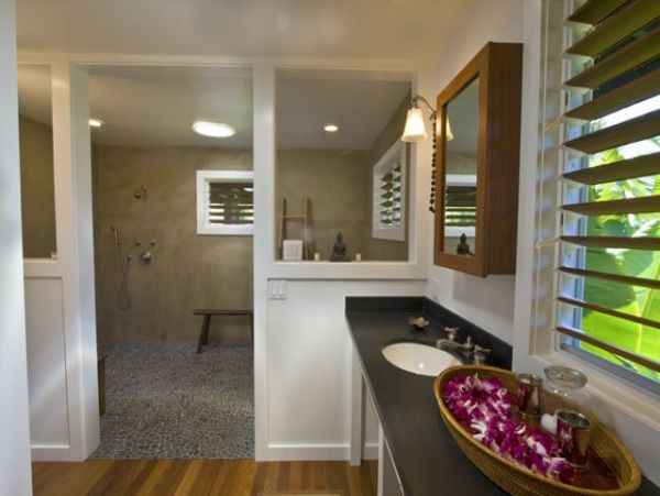Hanalei Home 1001823