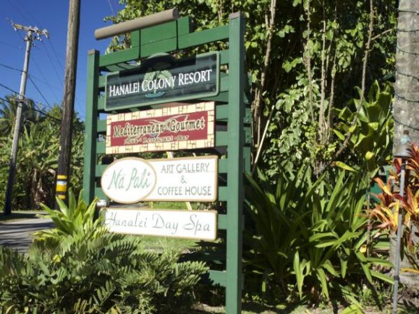 Hanalei Home 1001824