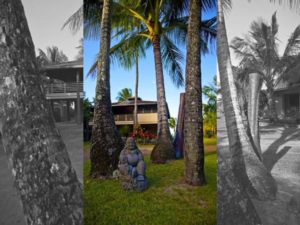 Hanalei Home 1001825