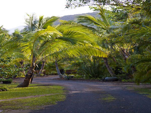 Hanalei Home 1001825