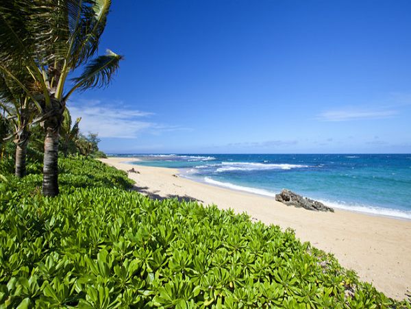 Hanalei Home 1001825