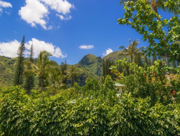 Hanalei Home 1001826