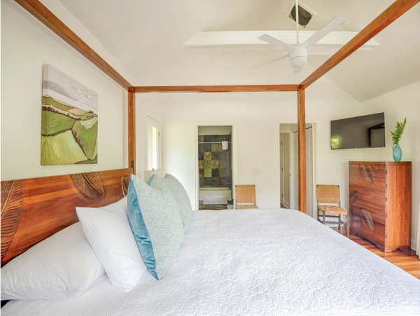 Hanalei Home 1001828