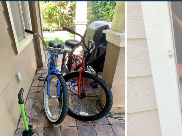 Hanalei Home 1001828