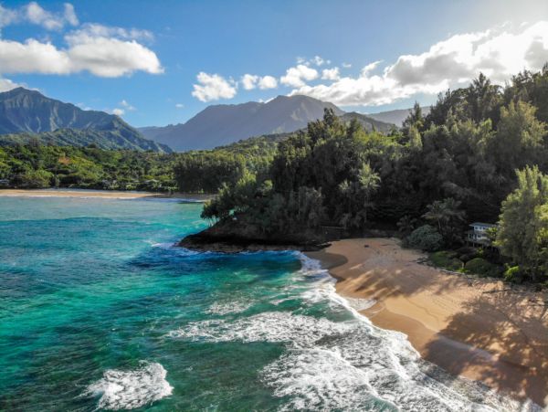 Hanalei Home 1001829