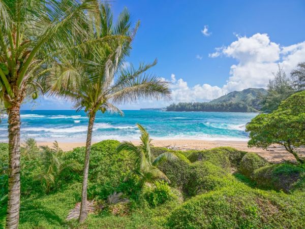 Hanalei Home 1001829