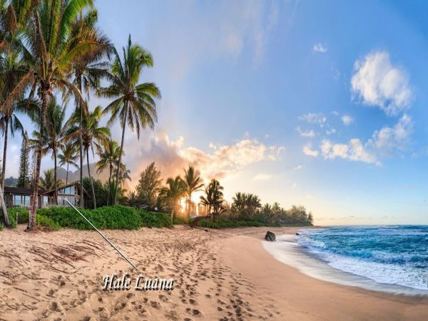 Hanalei Home 1001830