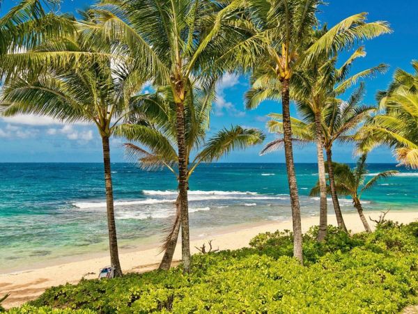 Hanalei Home 1001830