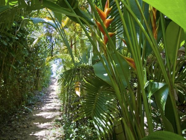 Hanalei Home 1001832