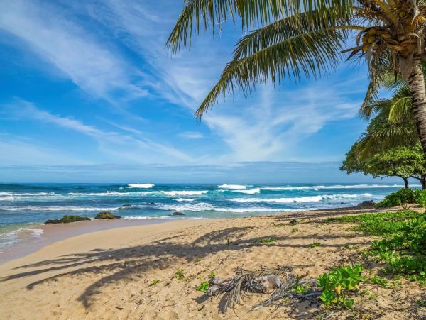 Hanalei Home 1001832