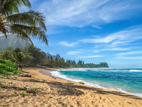Hanalei Home 1001832