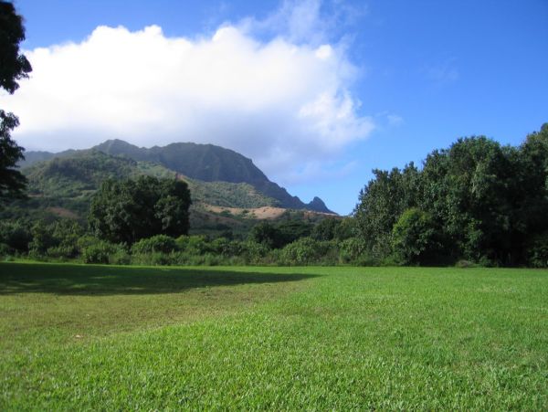 Hanalei Home 1001833