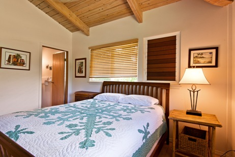 Hanalei Home 1001833