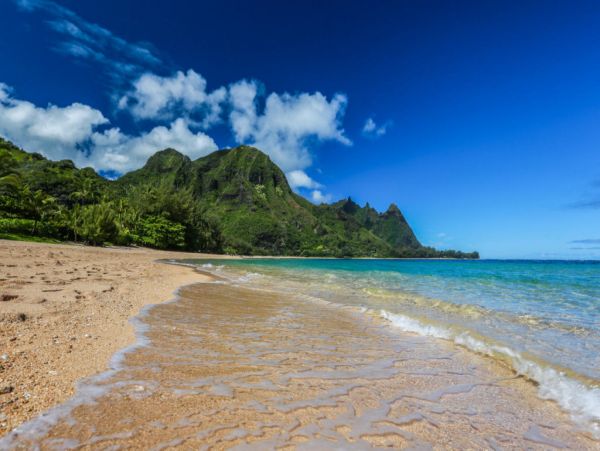Hanalei Home 1001834
