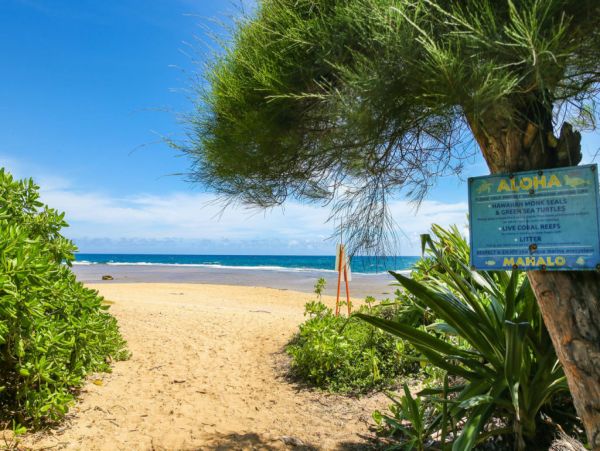 Hanalei Home 1001834