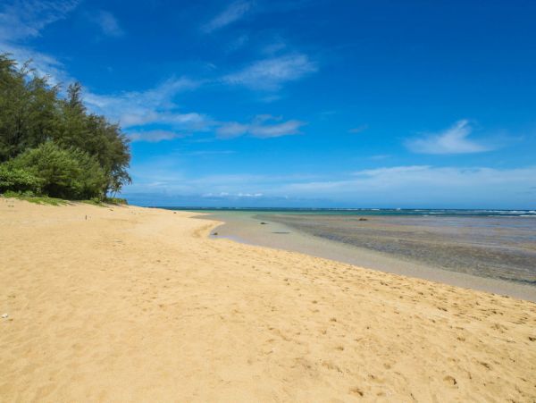 Hanalei Home 1001834