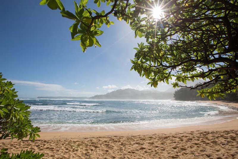 Hanalei Home 1001835