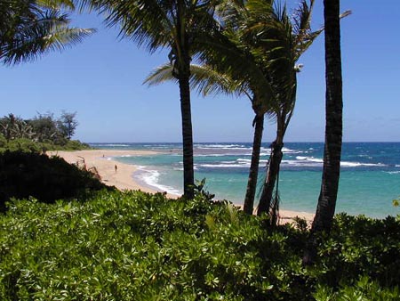 Hanalei Home 1001837